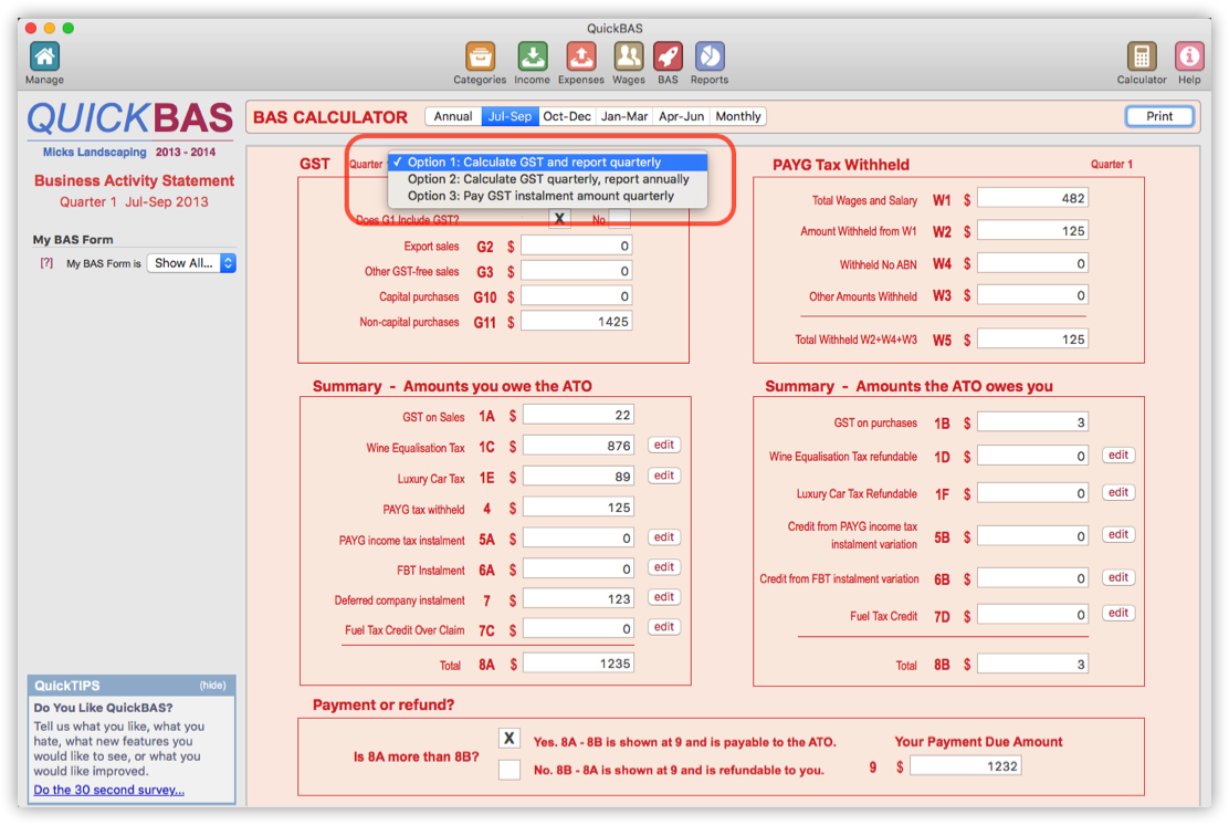 BAS Reporting Options